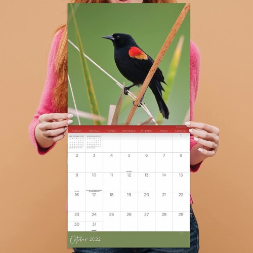 2022 Backyard Birds 12 Month Wall Calendar by TF Publishing Perspective: left