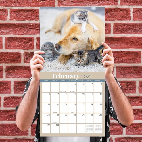 2022 Furry Friends Wall Calendar by TF Publishing Perspective: left