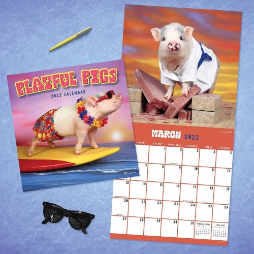 2022 Playful Pigs Wall Calendar by TF Publishing Perspective: left