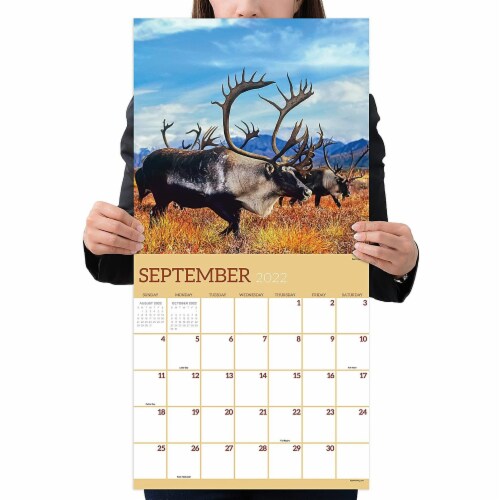 2022 Wild Wall Calendar by TF Publishing Perspective: left