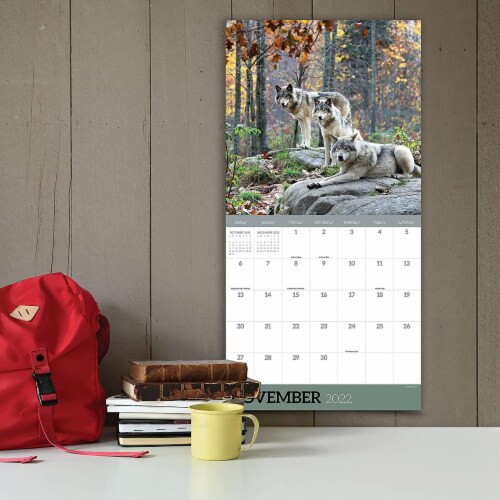 2022 Wolves Wall Calendar Perspective: left