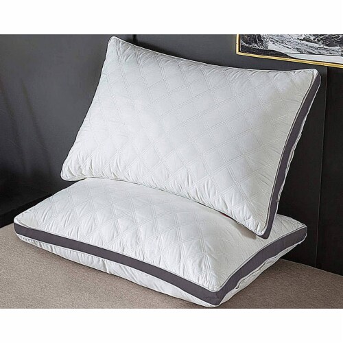 Dr Pillow Arch Comfort 2 PACK Pillow, Standard - Fry's Food Stores