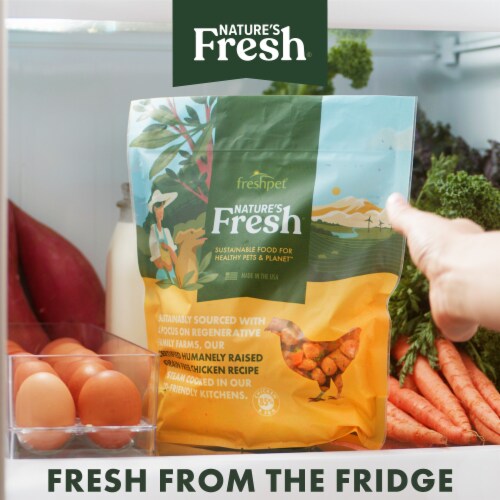 Freshpet Nature's Fresh Grass-Fed Beef & Brown Rice Recipe Dog Food Perspective: left
