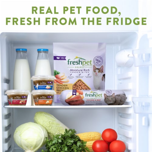 Freshpet Select with Salmon Grain Free Gourmet Pate with Salmon Cat Food Perspective: left