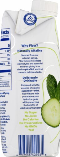 Flow™ Organic Cucumber + Mint Flavored Alkaline Spring Water Perspective: left