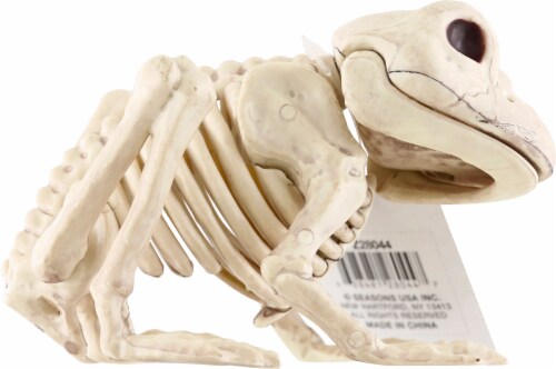 Seasons Frog Skeleton Decoration Perspective: left
