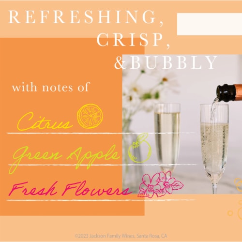 Benvolio Prosecco Italian Sparkling Wine Perspective: left