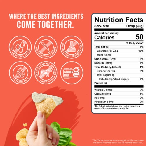 La Terra Fina® Spinach & Parmesan Greek Yogurt Dip & Spread Perspective: left