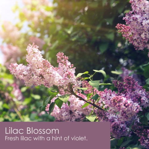 Tuscany Candle™ Wax Melts Lilac Blossom Perspective: left