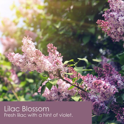 Tuscany Candle™ Wax Melts Lilac Blossom Perspective: left