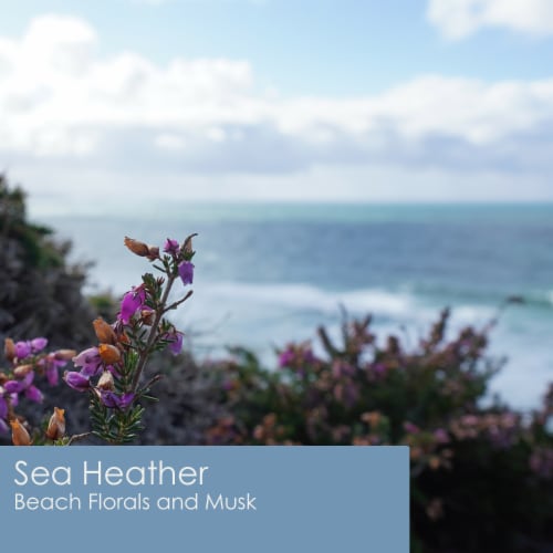 Tuscany Candle™ Wax Melts Sea Heather Perspective: left