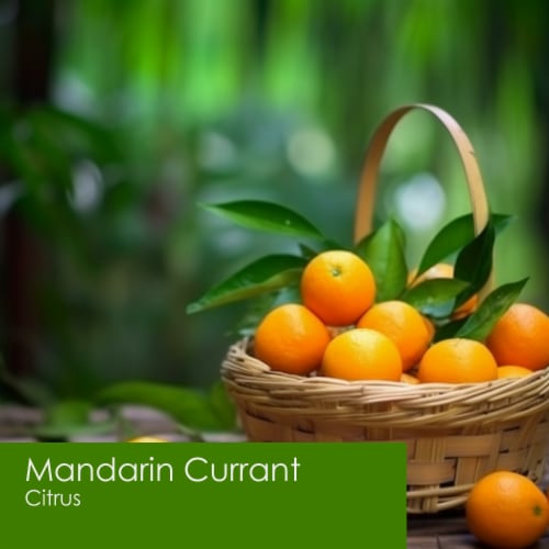 Tuscany Candle™ Wax Melts Mandarin Currant Perspective: left