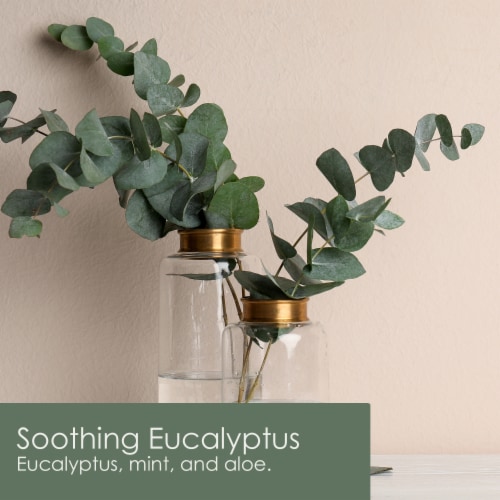 Tuscany™ Fragranced Wax Melts Soothing Eucalyptus Perspective: left