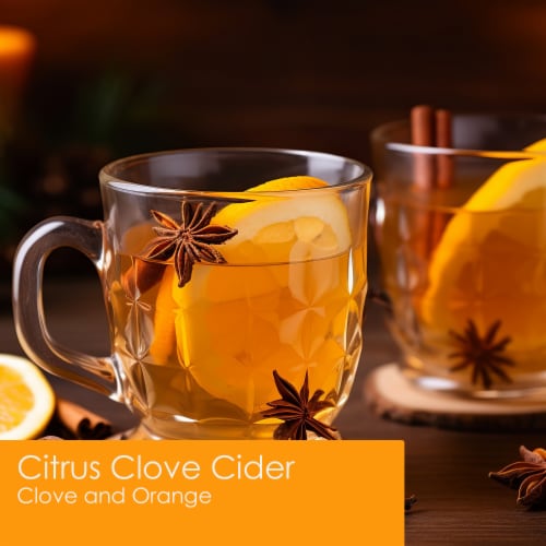 Tuscany Candle™ Wax Melts Citrus Clove Cider Perspective: left
