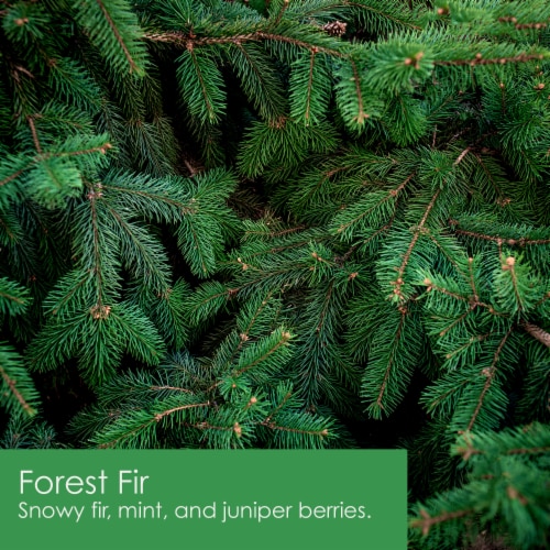 Tuscany™ Scented Jar Candle Forest Fir Perspective: left