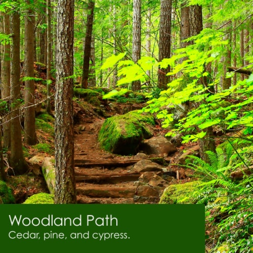 Tuscany™ Scented Triple Pour Jar Candle Woodland Path Perspective: left