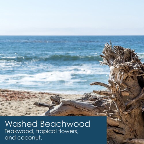 Tuscany Candle™ Washed Beachwood Premium Satin Wax Perspective: left