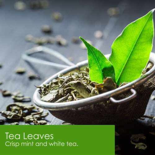 Tuscany Candle™ Tea Leaves Premium Satin Wax Jar Candle Perspective: left