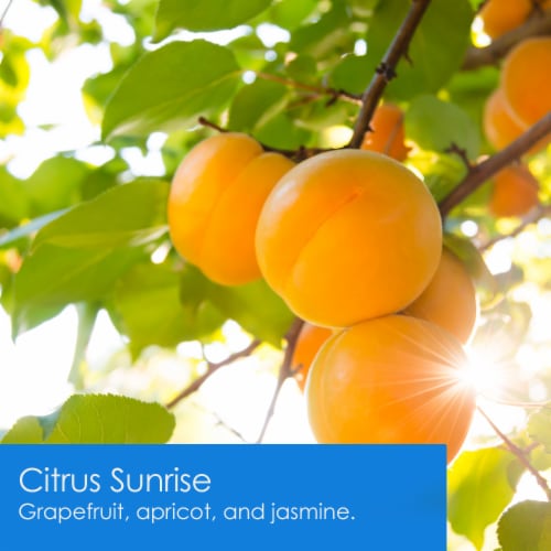 Tuscany™ Jar Candle Triple Pour Citrus Sunrise Perspective: left