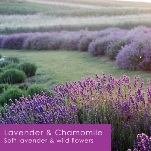 Tuscany Color Splash Collection Jar Candle Lavender & Chamomile Perspective: left