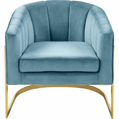 Meridian Furniture Carter Aqua Velvet Accent Chair with Stainless