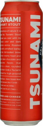 Waikiki brewing company tsunami fries