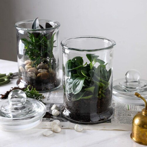 Glass Apothecary Jar Canister Set with Ball Lid (0.7 Gallon) Perspective: left