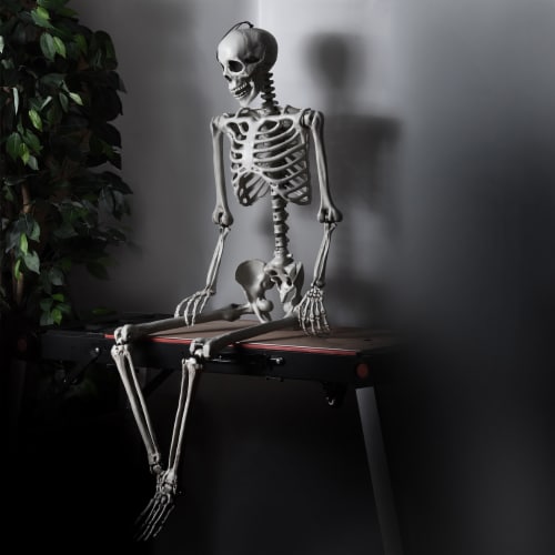 Halloween skeleton life size deals
