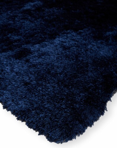 Feizy Rugs Indochine Plush Shag Rug with Metallic Sheen Area Rug - Dark Blue Perspective: left