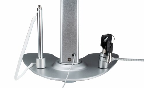 Dual Security Kiosk Stand with Locking Case and Cable for iPad 10.2-Inch Perspective: left