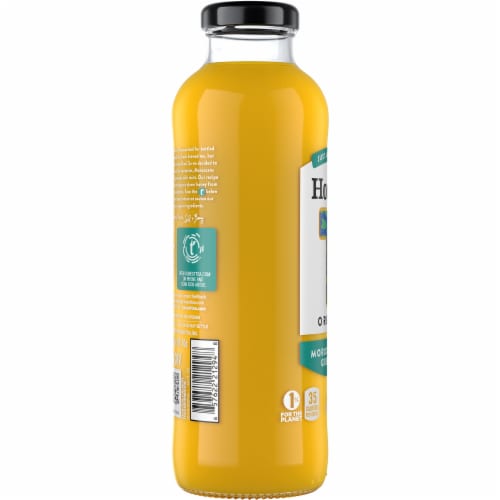 Honest Tea Organic Moroccan Mint Green Tea Perspective: left