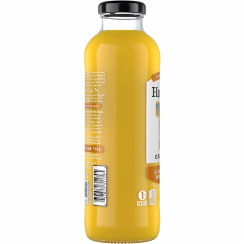 Honest Tea Organic Ginger Oasis Herbal Tea Perspective: left