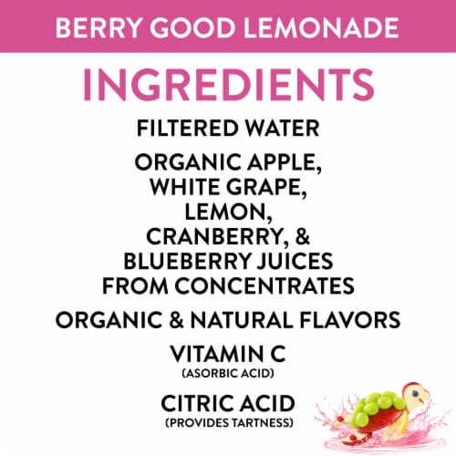 Honest Kids Berry Berry Good Lemonade Organic Fruit Juice Perspective: left