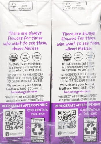 Honest Kids® Organic Goodness Grapeness® Juice Cartons Perspective: left