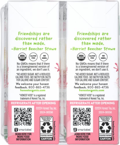 Honest Kids® Organic Bananas About Strawberries Juice Boxes Perspective: left