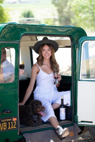 Liberty School Cabernet Sauvignon California Red Wine Perspective: left