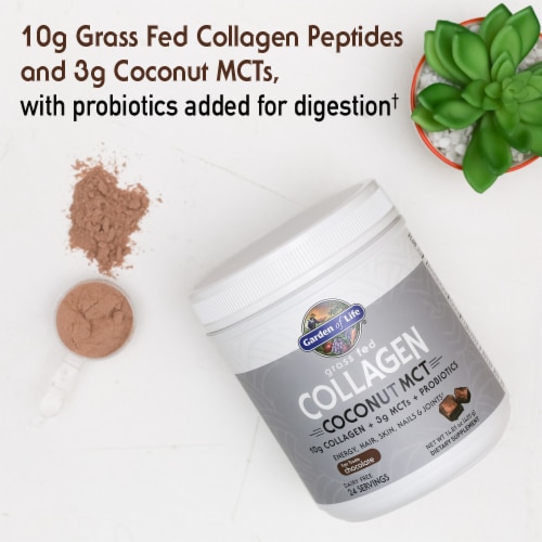 Garden of Life Grass Fed Collagen Coconut MCT, Energy, Hair, Skin, Nails & Joints, Chocolate Powder Perspective: left