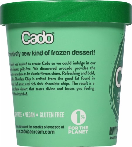 Cado Dairy Free Mint Chocolate Chip Frozen Dessert Pint Perspective: left