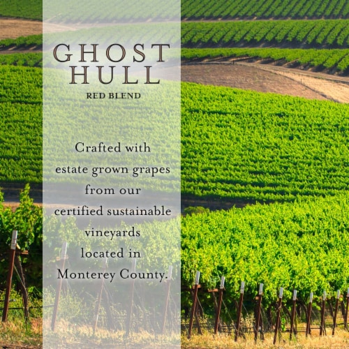 Ghost Hull Red Blend Red Wine Perspective: left