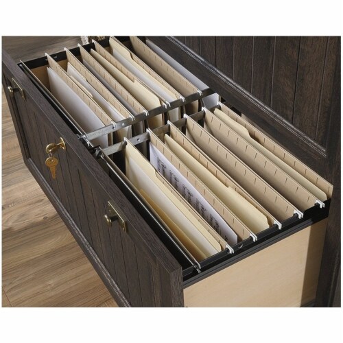 Levan Home 2 Drawer Lateral File Cabinet in Coffee Oak Perspective: left