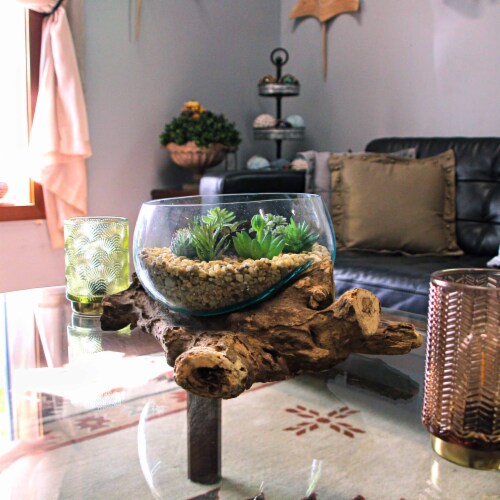 Blown Molten Glass Decorative Bowl / Terrarium On Teak Driftwood Base Perspective: left