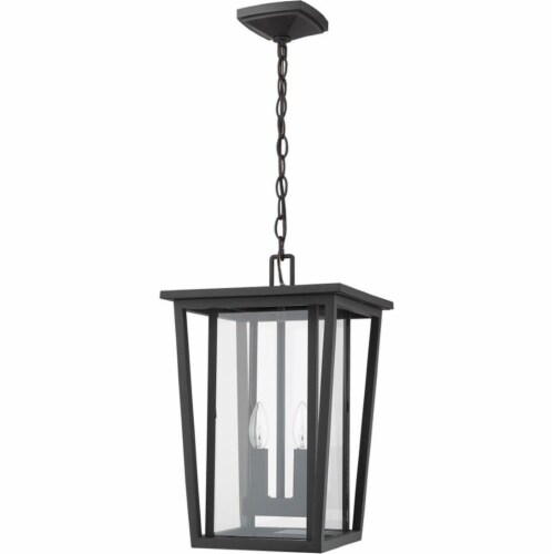Z-Lite Seoul 2 Light Clear Glass Aluminum Outdoor Chain Mounted Pendant in Black Perspective: left