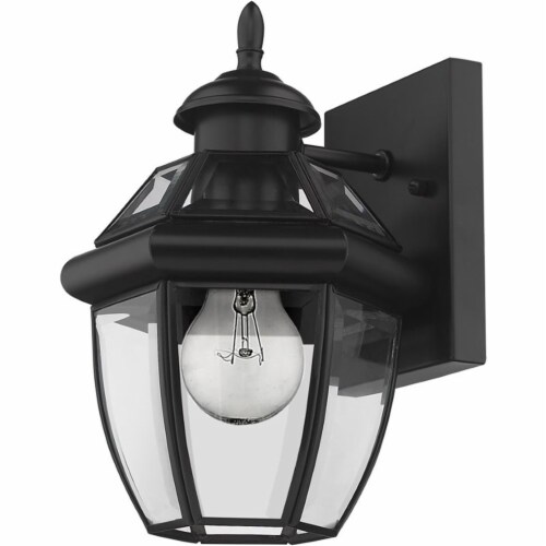 Z-Lite Westover 11  Clear Glass Brass Outdoor Wall Sconce in Black Perspective: left