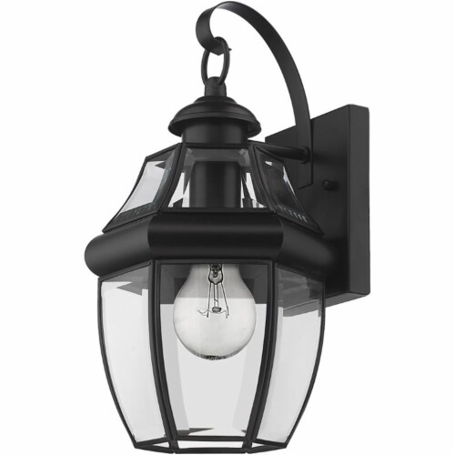Z-Lite Westover 14"" Clear Glass Brass Outdoor Wall Sconce in Black Perspective: left