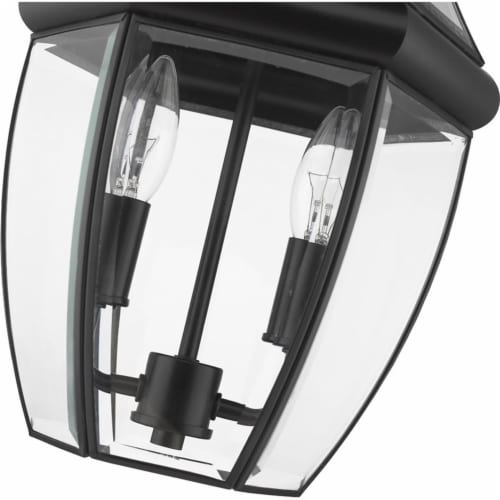Z-Lite Westover 2 Light Clear Glass Brass Outdoor Chain Mounted Pendant in Black Perspective: left