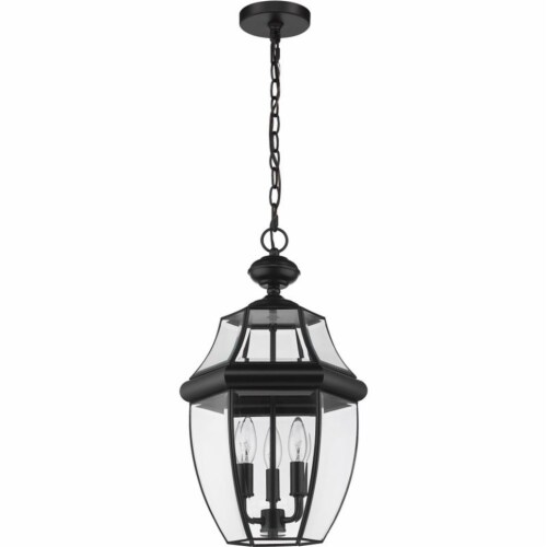 Z-Lite Westover 3 Light Clear Glass Brass Outdoor Chain Mounted Pendant in Black Perspective: left