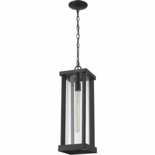 Z-Lite Glenwood 22  Clear Aluminum Glass Outdoor Chain Mounted Pendant in Black Perspective: left