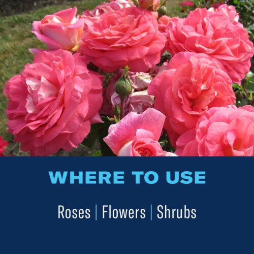 BioAdvanced 2-In-1 Systemic Rose and Flower Care, Granules, 5 lb Perspective: left