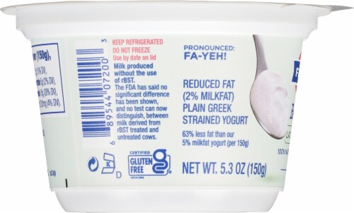 Fage® Best Self™ Lactose Free Plain Greek Yogurt Perspective: left