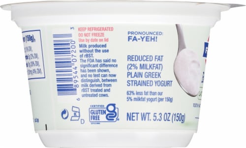 Fage® Best Self™ Lactose Free Plain Greek Yogurt Perspective: left